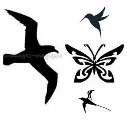 motifs oiseaux