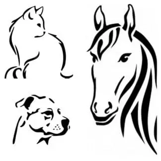 Motifs chien chat cheval