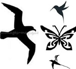 motifs oiseaux